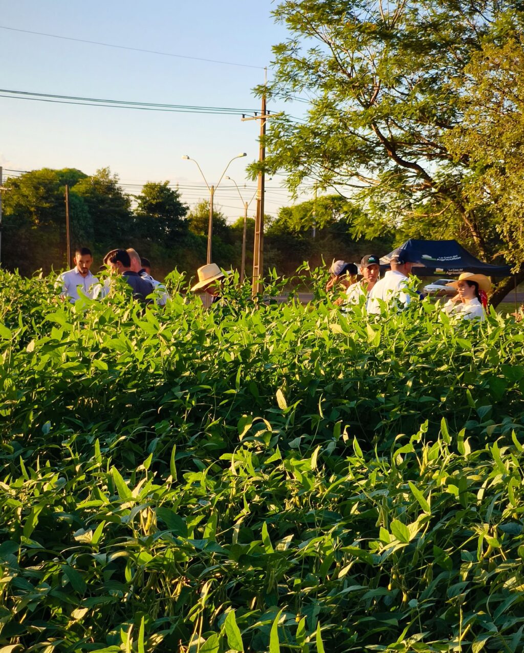 Instagram post from lacasadelagricultorpy. This post is in position 7.