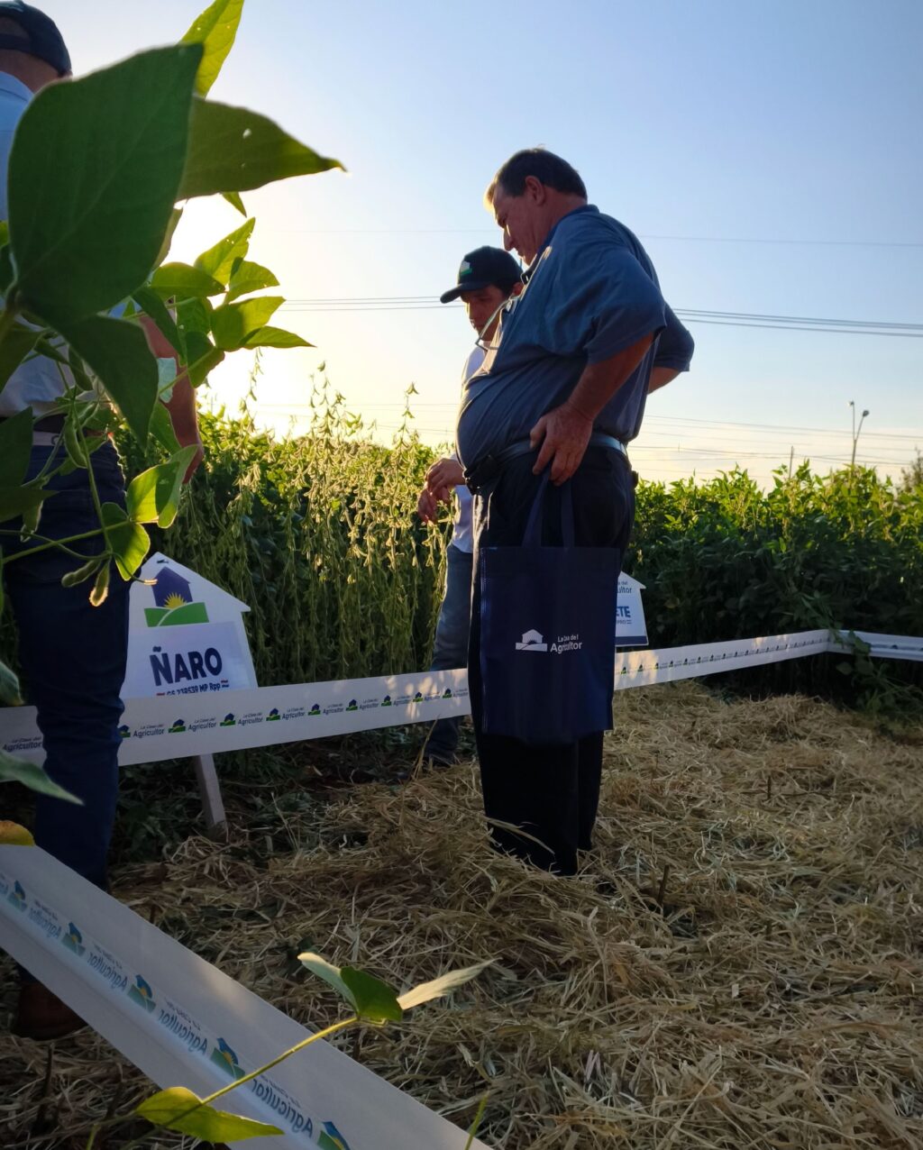 Instagram post from lacasadelagricultorpy. This post is in position 6.