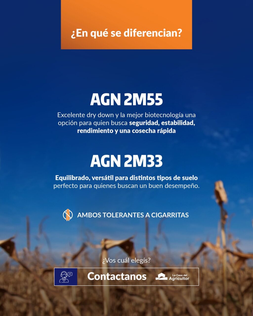 Instagram post from lacasadelagricultorpy. This post is in position 3.