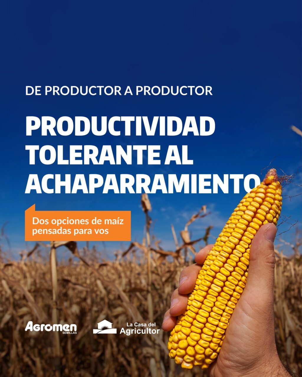 Instagram post from lacasadelagricultorpy. This post is in position 0.