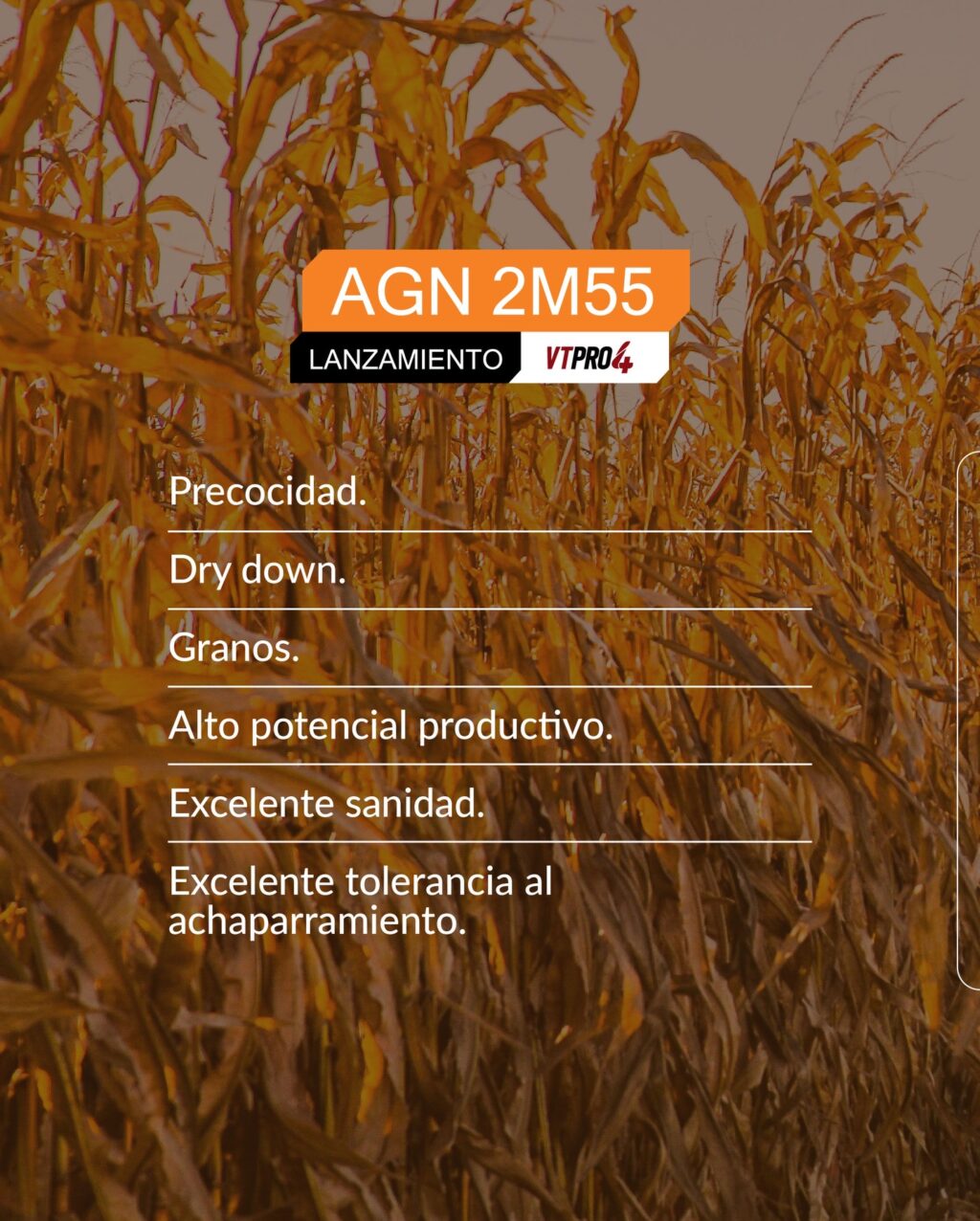 Instagram post from lacasadelagricultorpy. This post is in position 1.