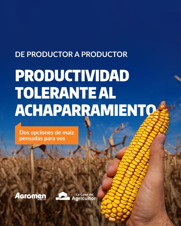 Instagram post from lacasadelagricultorpy. This post is in position 2.